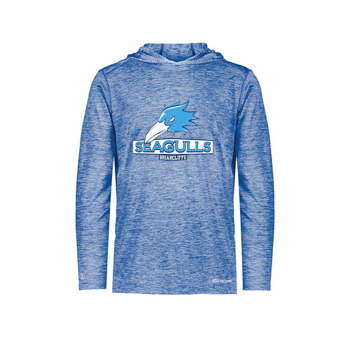 [FOLHCGRY-AS-LOGO1] Decker Men's Charge Hoodie (Adult S, Royal, Logo 1)