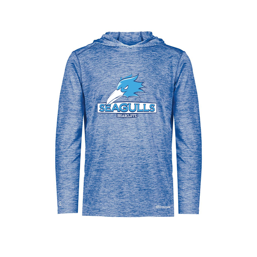 [FOLHCGRY-YS-LOGO1] Decker Youth Charge Hoodie (Youth S, Royal, Logo 1)